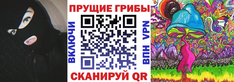 Псилоцибиновые грибы Psilocybine cubensis  Камышин 