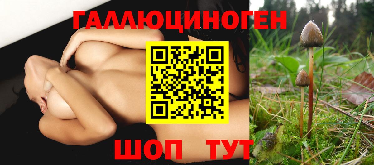 Галлюциногенные грибы мухоморы Камышин