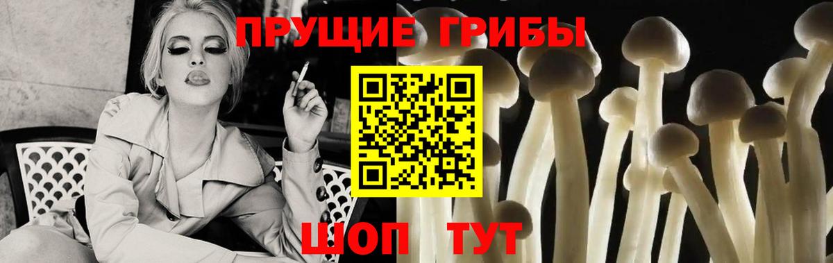 Камышин  Галлюциногенные грибы MAGIC MUSHROOMS  Псилоцибиновые грибы Psilocybe  Вход с VPN 